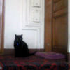 2010-11-12 Vite on rentre_l.jpg